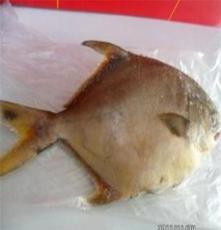 邦泰通商水产品黄鱼类