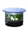 爱心水族 生态水族箱 圆形茶几鱼缸 亚克力材质鱼缸