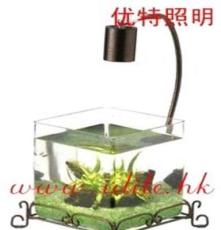 鱼缸 鱼缸灯 水族鱼缸 艺术鱼缸 工艺鱼缸 金鱼缸