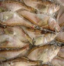 鱼类海产品冷冻粗加工水产品雷鱼带籽鱼特色水产海鲜礼包