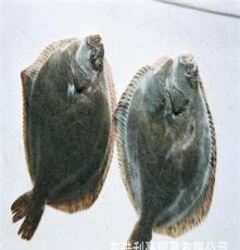 各种优质水产品 石鳉鱼尽在东港利好贸易