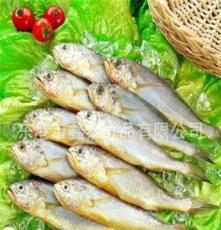 优质小黄花鱼 水产品海产品