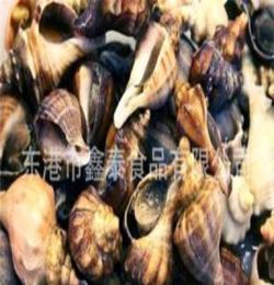 廠家供應(yīng)優(yōu)質(zhì)尖螺 批發(fā)海產(chǎn)品水產(chǎn)品