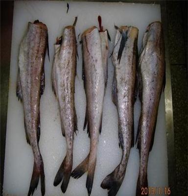 阿拉斯加 狭鳕鱼去头原条原料 大连海鲜 厂家直销 出口海外