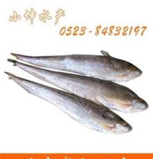 优质刀鱼，海鲜海产品，鱼类