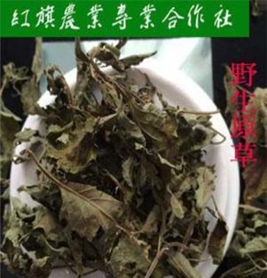 提供王屋特产正宗排毒纯叶野生冬凌草下火茶批发