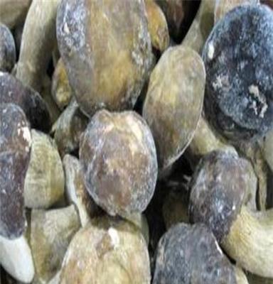 供应2012年云南产 一级出口 速冻牛肝菌整菇