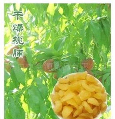 批发供应会源休闲食品新鲜桃脯系列果脯