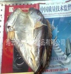厂家直销，QS认证，精心调味黄海野生淡干大河豚鱼片25元一条