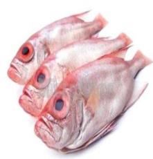 红鱼大眼鱼进口鱼红鱼批发章红鱼冷冻粗加工水产品海鲜干货水产品