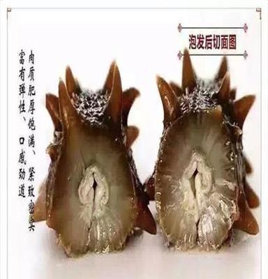 大量供應(yīng)純干海參，半干海參，即食海參