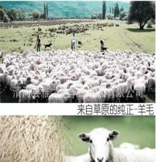 [雅之魅]正护肤羔羊绒线 厂家大量供应优质羔羊绒纱线38/3羊绒纱