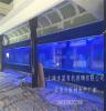 南京玻璃工厂承接大型亚克力鱼缸 定制会所售楼中心鲨鱼水族箱