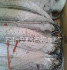批发冷冻带鱼 东海带鱼 白带鱼 刀鱼 带鱼500克以上 水产品