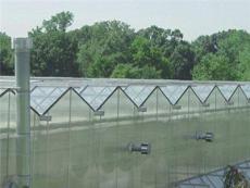连栋温室 保温遮荫系统的组成部分基本可以分为保温遮荫幕、托幕线、传动机构