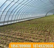 蔬菜大棚厂优质温室大棚多少钱一平安阳市亿田温室工程有限公司