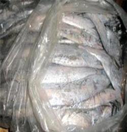 冷冻产品带鱼 东海刀鱼 越南水产品