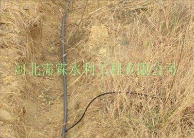 山区果树滴灌系统组成设备/河北省小管出流技术/生产厂家