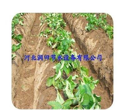 河北供应优质12mm滴灌管厂家