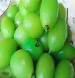 厂家直销叶绿榄蜜饯绿橄榄优质绿叶榄青橄榄叶绿橄榄