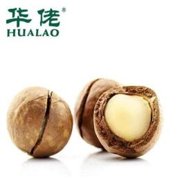 華佬食品堅果干果澳州進口大籽開口夏威夷果送開口器8月新炒干貨