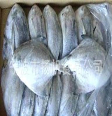 经销批发鲳鱼水产品冷冻食品