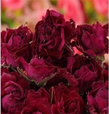 厂家批发 玫瑰花冠礼盒 99朵玫瑰 精选低温无硫 平阴玫瑰花冠茶
