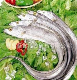 供应优质冷冻刀鱼 水产品