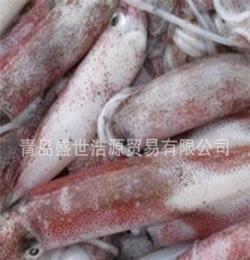供应各种水产品--笔管鱼