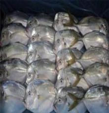 南美月亮魚冷凍水產品 海鮮產品