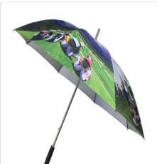 厂家直销 自动直杆伞 碰击布雨伞 高尔夫伞 可加印LOGO