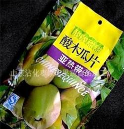 蜜餞廠直銷 酸木瓜片 酸酸甜甜 熱帶雨林的休閑小食品 美味果脯
