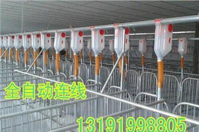豬舍自動料線設(shè)備,育肥豬自動料線安裝介紹/多少錢