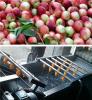 生产食品机械果蔬清洗机、小香葱清洗机