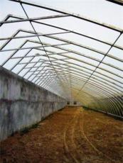 鋼架大棚 鋼架大棚種植 鋼架大棚建造 鄭州步步高