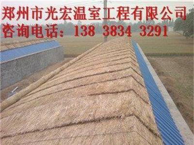 郑州食用菌温室建设需要多少钱日光温室大棚建设造价低