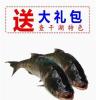 查干湖鱼价格北京石景山区销售