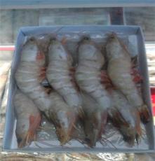 供应 冰鲜虎虾 虾类批发 各种海鲜水产品 厂家直销