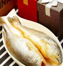 爱伊思缅甸进口野生大黄鱼，海鲜美食