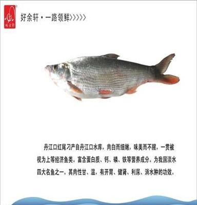 好余轩风味干制红尾鱼 野生鱼干厂家批发 300g/袋 湖北特产