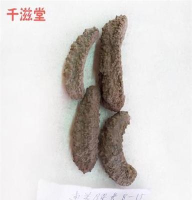 厂家大量批发南美腰参8-15 优惠价格 欢迎咨询