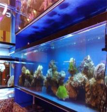 广州鱼缸设计、亚克力鱼缸、大型鱼缸