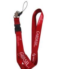 厂家定制生产 高品质的安全带、安全绳、吊带