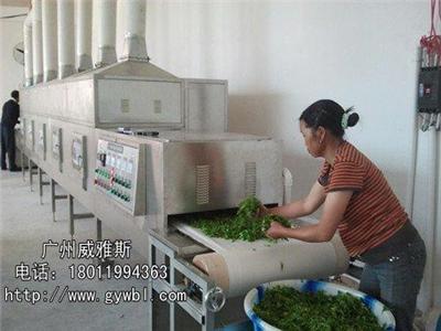 广州微波绿茶干燥设备厂家