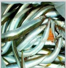 青岛大量批发销售优质面条鱼 水产品面条鱼 质优价廉