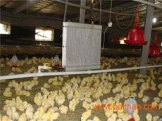 养鸡供暖设备自动恒温