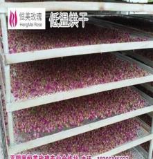大量供应 2015头期 平阴玫瑰干花蕾正品天然有机无硫