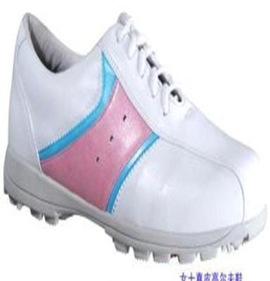 TIGER新款高尔夫鞋真皮鞋牛皮鞋户外鞋运动型货号002白红兰
