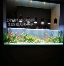 上海厂家承接玻璃鱼缸布景 水族箱造景 鱼缸改造工程热带水草鱼缸