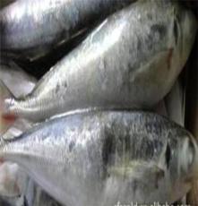 批发水产品 鱼类 冷冻水产 鱼类 巴浪鱼